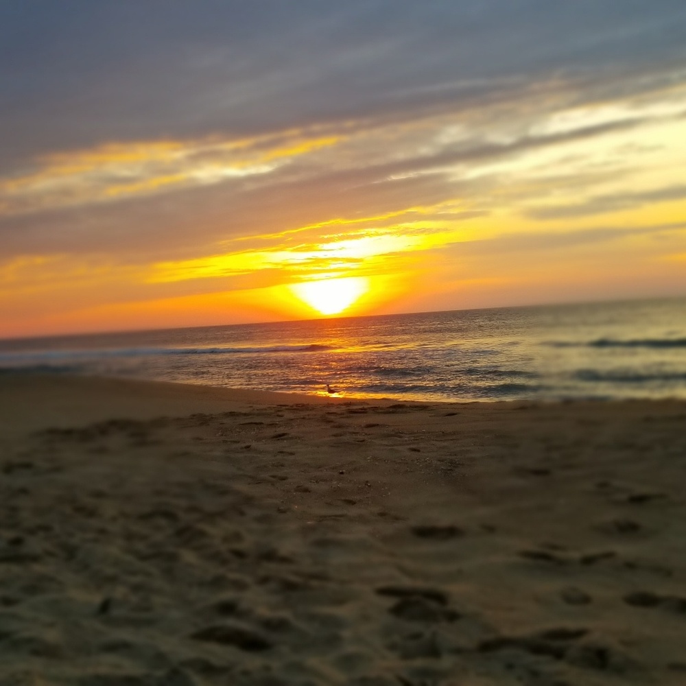 Meet your Posher, Tamara